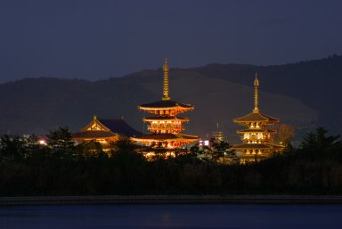 大池からみた薬師寺両塔・金堂の夜景.jpg