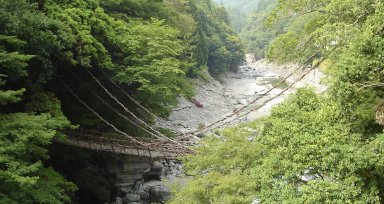 日本三名橋：祖谷のかずら橋（三好市西祖谷山村善徳）.jpg